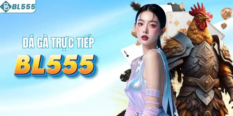 BL555 8 Đá gà - Trực tiếp HD sắc nét, đa dạng hình thức thi đấu