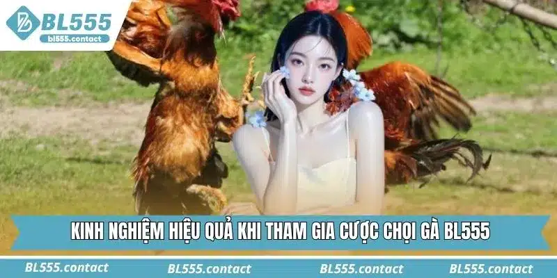 Kinh nghiệm hiệu quả khi tham gia cược chọi gà BL555 online
